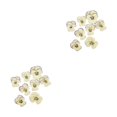 thumbnail image 2 of Bearachild 12 Pieces Dried Flower Crafts Simple Pressed Accessories Makeup Make Exquisite Handicrafts Craft Flowers Adornment DIY Type3 NO3, 2 of 6