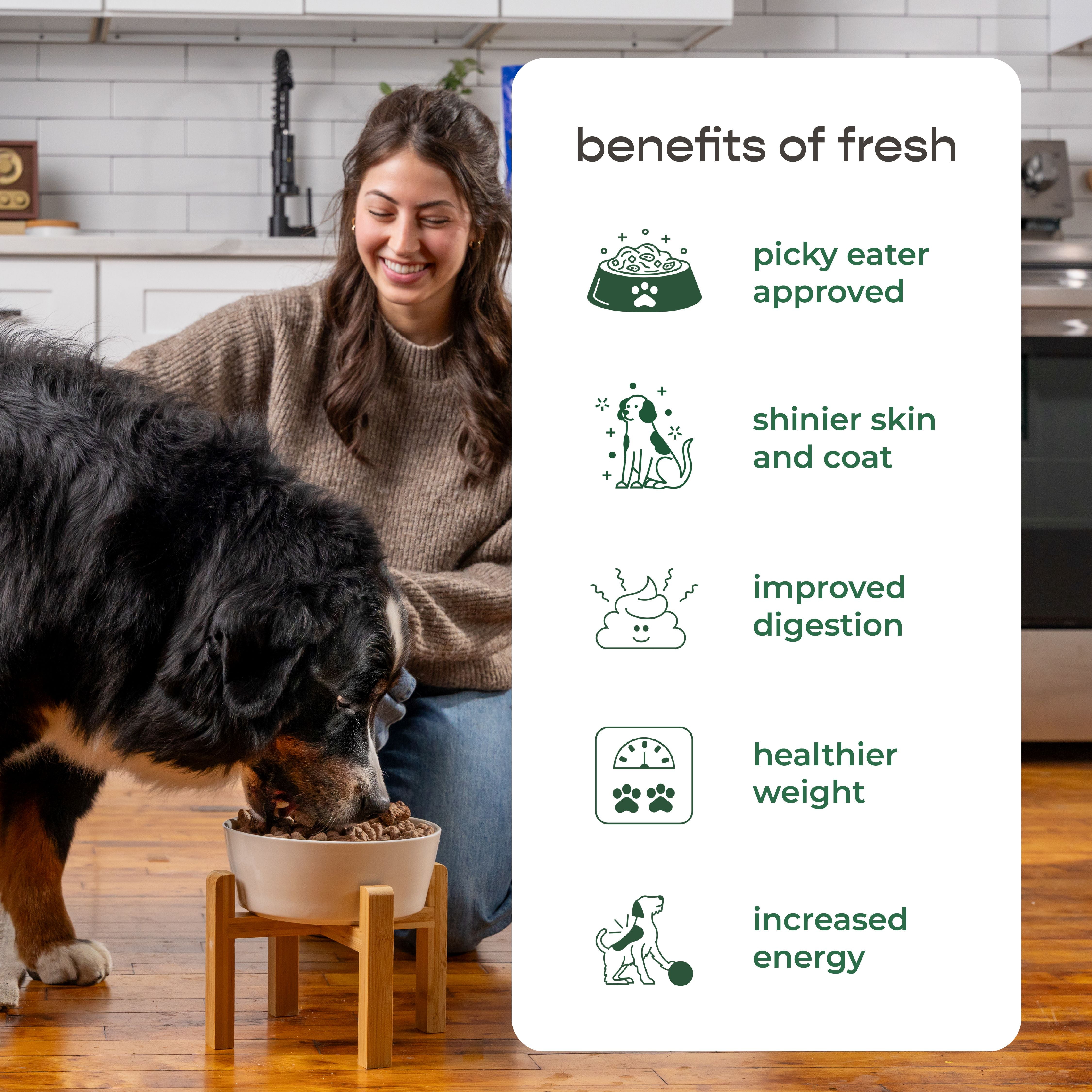 Freshpet Fresh Dog Food, Large Dog Multi-Protein: Chicken, Beef, Egg & Salmon Recipe, 5 lb.