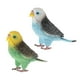 thumbnail image 2 of 2 piezas de simulación de figuras de loros de juguete para de 3 años, figuras de animales de plástico realista, proyecto de ciencia, dec Zulema Juguetes de simulación de loros, 2 of 8