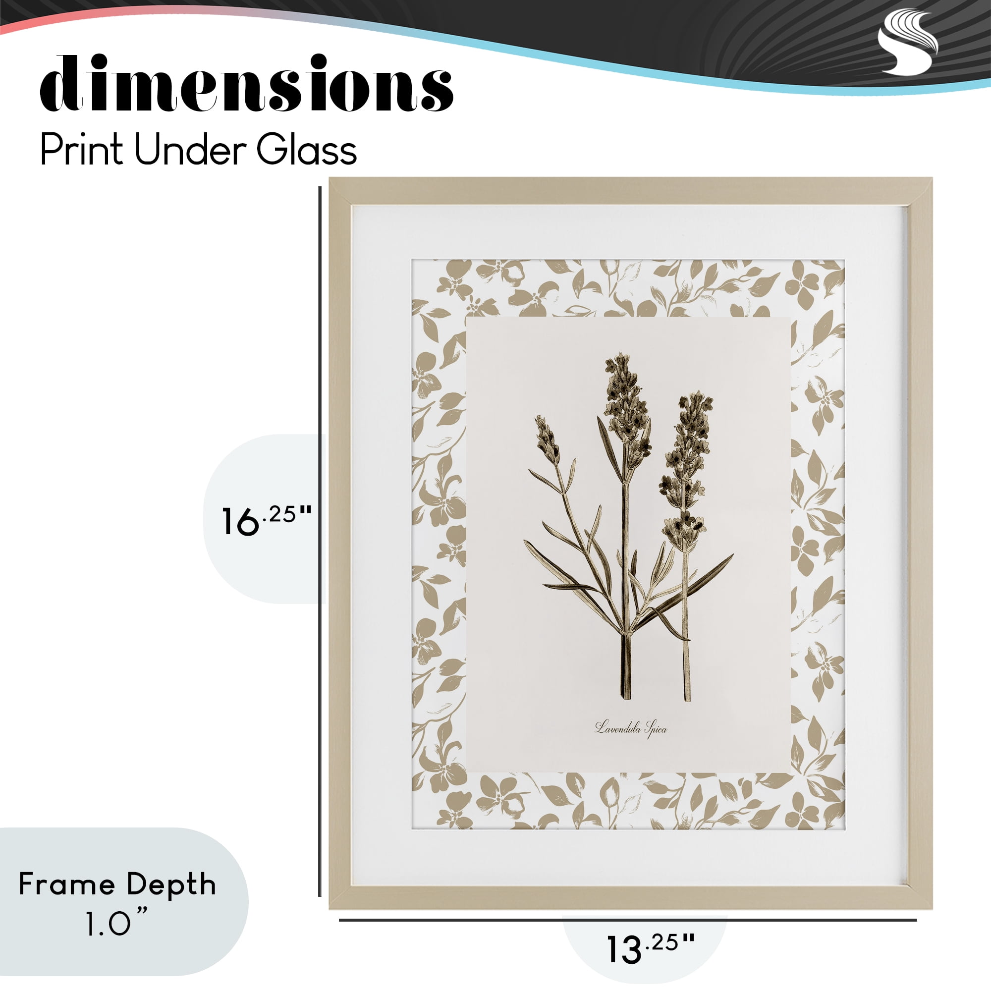 Stupell Industries Neutral Imperial Herb Study Birch Framed Print Under Glass, design by Kelly Donovan