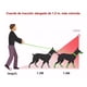 thumbnail image 4 of Kit Pechera Arnés Y Correa De Chihuahua Para Perros Y Gatos, 4 of 7