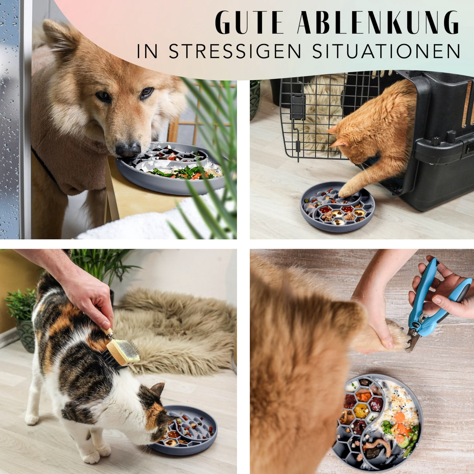 Schling Napf Für Hunde Katzen I Slow Feeder I Leckmatte Hund Mit Großem Saugnapf I Schleckmatte Katze Für Nassfutter Trockenfutter High-quality
