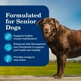 thumbnail image 5 of Blue Buffalo Homestyle Senior Beef and Chicken Wet Dog Food Variety 6 Pack, 12.5 oz Cans, 5 of 12
