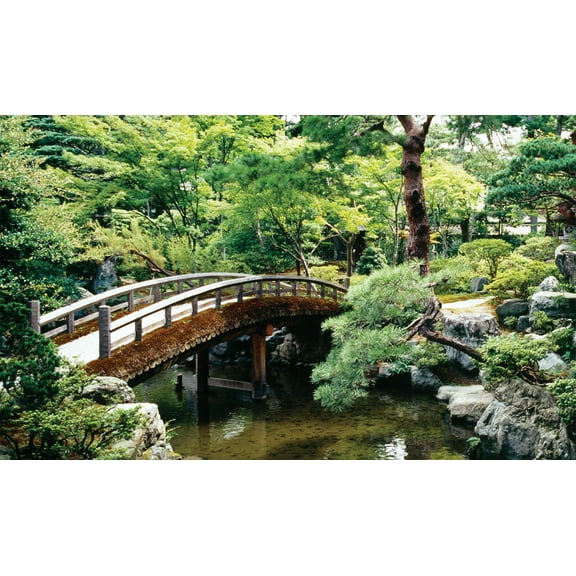 Window Well Scene-Bonsai 80" X 40"