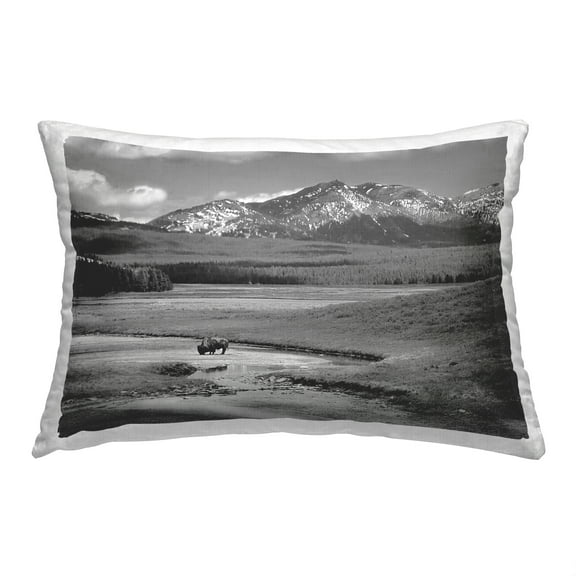 Stupell Industries Rural Country Bison Decorative Printed Throw Pillow, 14 x 20