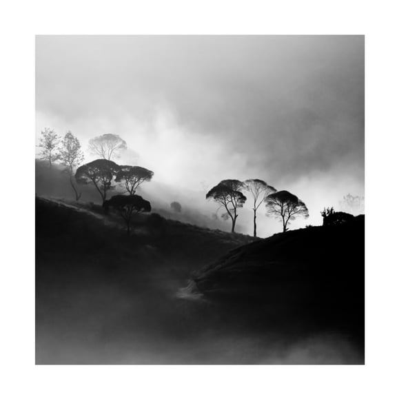 Canvas Wall Art - Gunarto Song 'Nirvana' Wall Art for Living Room, Bedroom, or Office Décor by Trademark Fine Art - 14 x 14 Inches