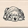 thumbnail image 2 of cE cachorro durmiente Inkadinkado 08883, 2 of 2