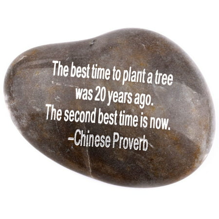 Engraved Inspirational Stones collection - Stone V : THE BEST TIME TO PLANT A TREE WAS 20 YEARS AGO. THE SECOND BEST