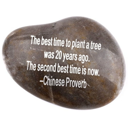 Engraved Inspirational Stones collection - Stone V : THE BEST TIME TO PLANT A TREE WAS 20 YEARS AGO. THE SECOND BEST (Best Time To Plant A Tree Quote)