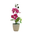 thumbnail image 2 of Artificial flowers, Phalaenopsis bonsai, artificial potted plants for home decoration, 2 of 2