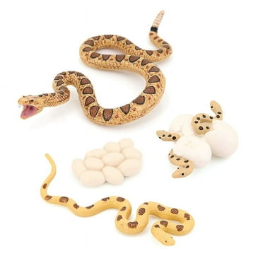 Realistic Animal Life Growth Cycle Biological Model Toys Snake Rattlesnake