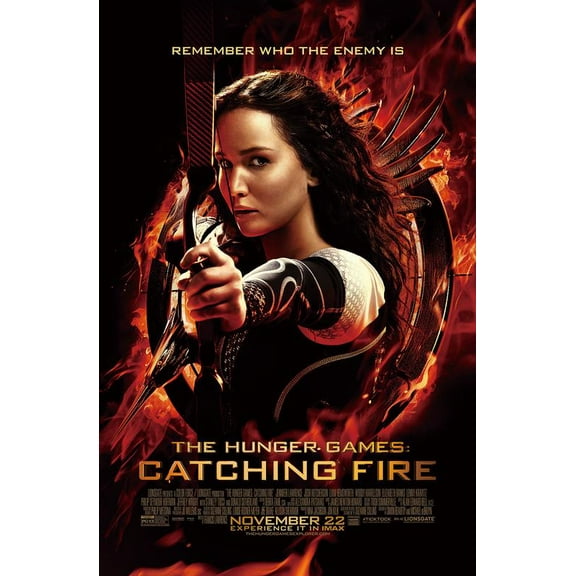 The Hunger Games Catching Fire Poster 12x18inch (30x46cm) poster, perfect for any room! Frameless art Wall Art Gift