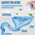 thumbnail image 4 of RKSTN Carpet Rake Bucket Oxygen Toilet Cleaner 260G Cleaning Supplies, 4 of 8