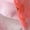 Pink, variant on Socks Womens Girls Socks Lace Mesh Crew Socks Transparent See Through Dress Sock Thin Nylon Summer Sock