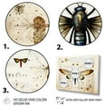 thumbnail image 4 of Designart "Blueprint of Moth in Beige and Yellow" Extra Large Animals Framed Wall Art - Modern Beige Insects & Bugs Bedroom Framed Canvas Wall Art, 4 of 7