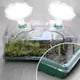 thumbnail image 5 of Caja De Cultivo De Semillas De Plantas, Iniciador De Plántulas De Vivero Portátil Con 12 Agujeros Para Exteriores, 5 of 8