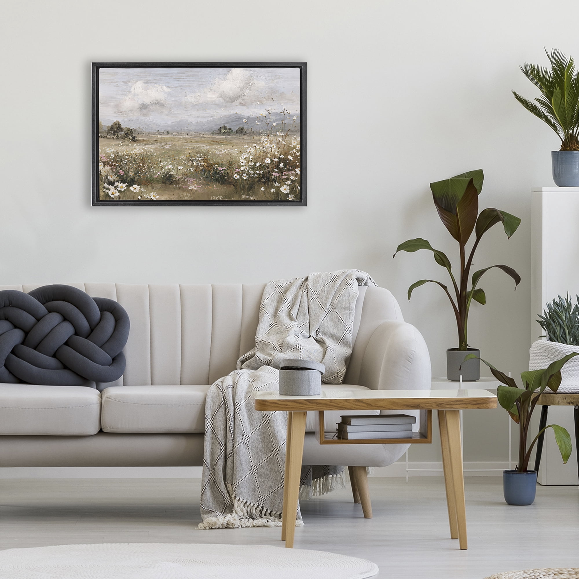 Stupell Industries Daisy Clusters in Field Black Framed Floater Canvas Wall Art, design by Jacky Ngan