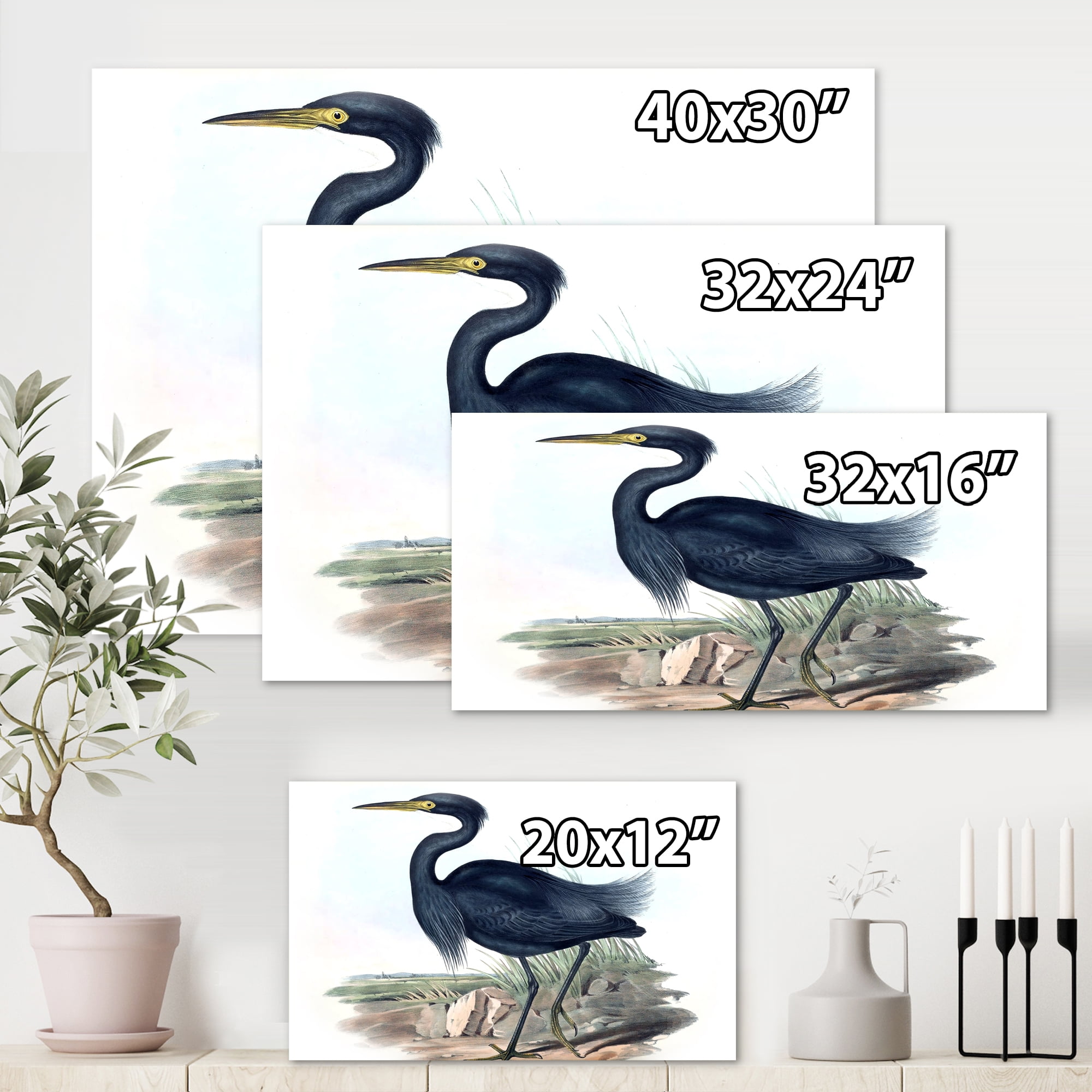 Designart ' Ancient Australian Birds III ' Traditional Canvas Wall Art Print
