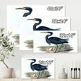 thumbnail image 4 of Designart ' Ancient Australian Birds III ' Traditional Canvas Wall Art Print, 4 of 4