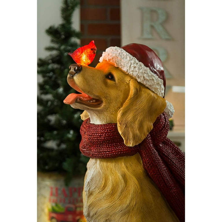 Golden Retriever with Scarf and Cardinal Solar Lighted Garden Statue -  Walmart.com