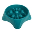 thumbnail image 2 of Slow Feeder Dog Bowl Non Slip Pet Food Dish Puppy Bloat Prevention Feeding Bowl, 2 of 6