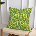 thumbnail image 6 of Throw Pillow Covers, Kiwi Fruits Summer Soft Square Pillow Cases with Invisible Zipper for Couch Bed Sofa, Farmhouse Fall Home Decor 16"x16", 6 of 7