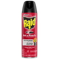 Raid Outdoor Ant & Roach Killer Spray, 17.5 fl oz