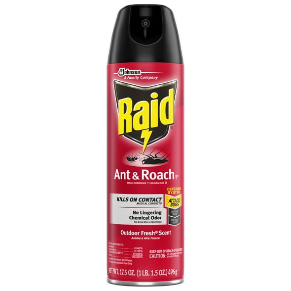 Raid Outdoor Ant & Roach Killer Spray, 17.5 fl oz