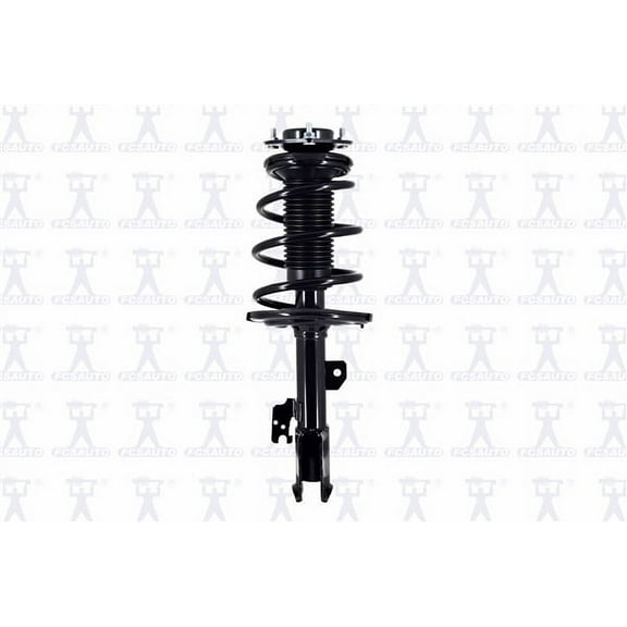 Suspension Strut and Coil Spring Assembly