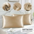 thumbnail image 6 of SIYTUAU Silky Satin Pillow Covers 2 Pack Standard Size 20X30 Inches Breathable Polyester Pillowcase Set For Hair Care Bedding Home Decor Beige Twin Set Beige, 6 of 8