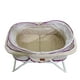 thumbnail image 2 of Cuna Moises Aeiou  Velo Mariposa Morada, 2 of 3