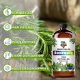 thumbnail image 3 of Aceite Esencial GV77ZF de Romero 480 ml Aroma Natural, 3 of 9