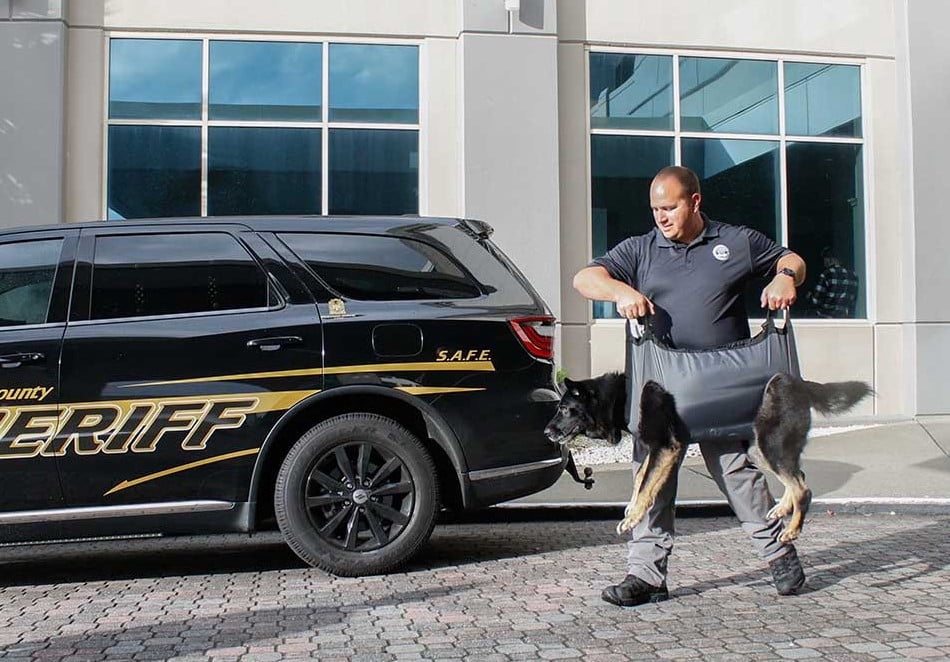 QuikLitter K9