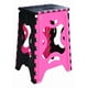 thumbnail image 1 of Banco Plegable Grande Portatil Plastico Soporta 120kg 1pz Acabado De La Estructura Mate Color Rosa Mexicano, 1 of 4
