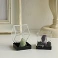 thumbnail image 4 of Nestingho 6Ud Estuche Plástico Transparente Para Exhibición Y Almacenamiento De Rocas, 4 of 8