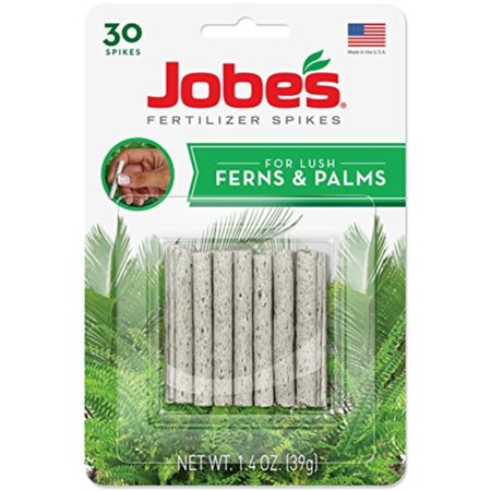 Best Palm Tree For Indoor