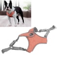 thumbnail image 1 of Pet Chest Strap, Walking  Leash Adjustable Reflective Comfortable  For Jog For Walk Blue,Orange,, 1 of 8