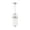 Polished Nickel, variant on Nuvo Lighting Fathom 2-Light Pendant Fixture Polished Nickel with Clear Glass - N/A