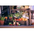 thumbnail image 3 of 24 Assorted Vegetable & Herb Seed Packets – Garden Starter Variety Pack (Lettuce, Cucumber, Broccoli & More), 3 of 8