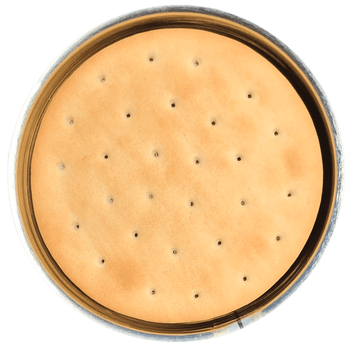 避難生活用品 SURVIVAL foods Crackers Pilot Bread Amazon.com: Future Essentials Sailor Pilot Bread Crackers