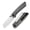 Black, variant on Kizer Madrac EDC Folding Pocket Knife Nitro-V Blade Micarta Handle V3693A3