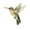 green, variant on Hummingbird Brooch Pin Fashion Jewelry Accessory Metal Enameled Badge Pin for Clothes Bags Hats With S tylish Design