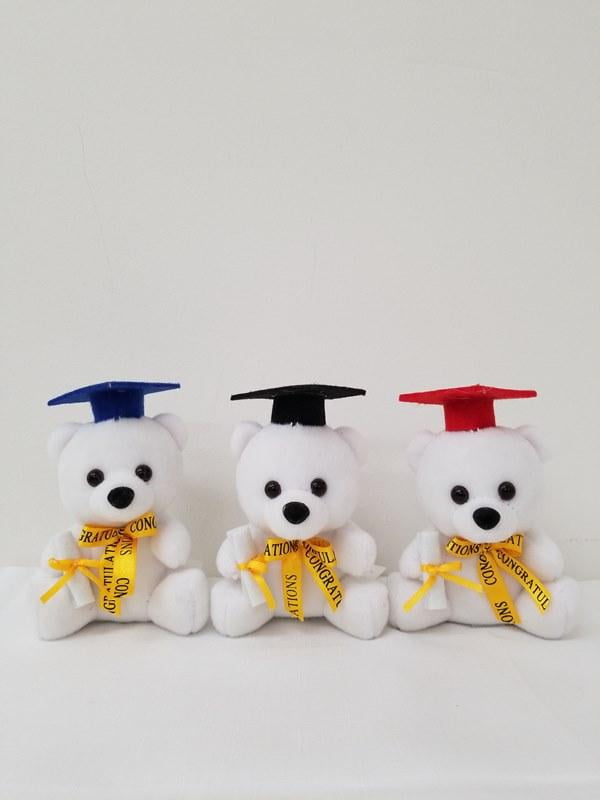graduation teddy bear walmart