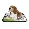 thumbnail image 2 of PKQWTM Herd Of Cows Grazing In Meadow Pet Dog Cat Bed Pee Pads Mat Cushion Potty Dogs Blankets Crate Bed Kennel 14x18 inch, 2 of 3