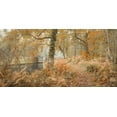 thumbnail image 2 of Frank, Assaf 24x14 Black Ornate Wood Framed with Double Matting Museum Art Print Titled - Canal through forest, 2 of 4