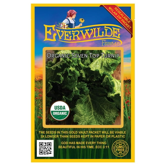 Everwilde Farms - 250 Organic Seven Top Turnip Seeds - Gold Vault Jumbo Bulk Seed Packet