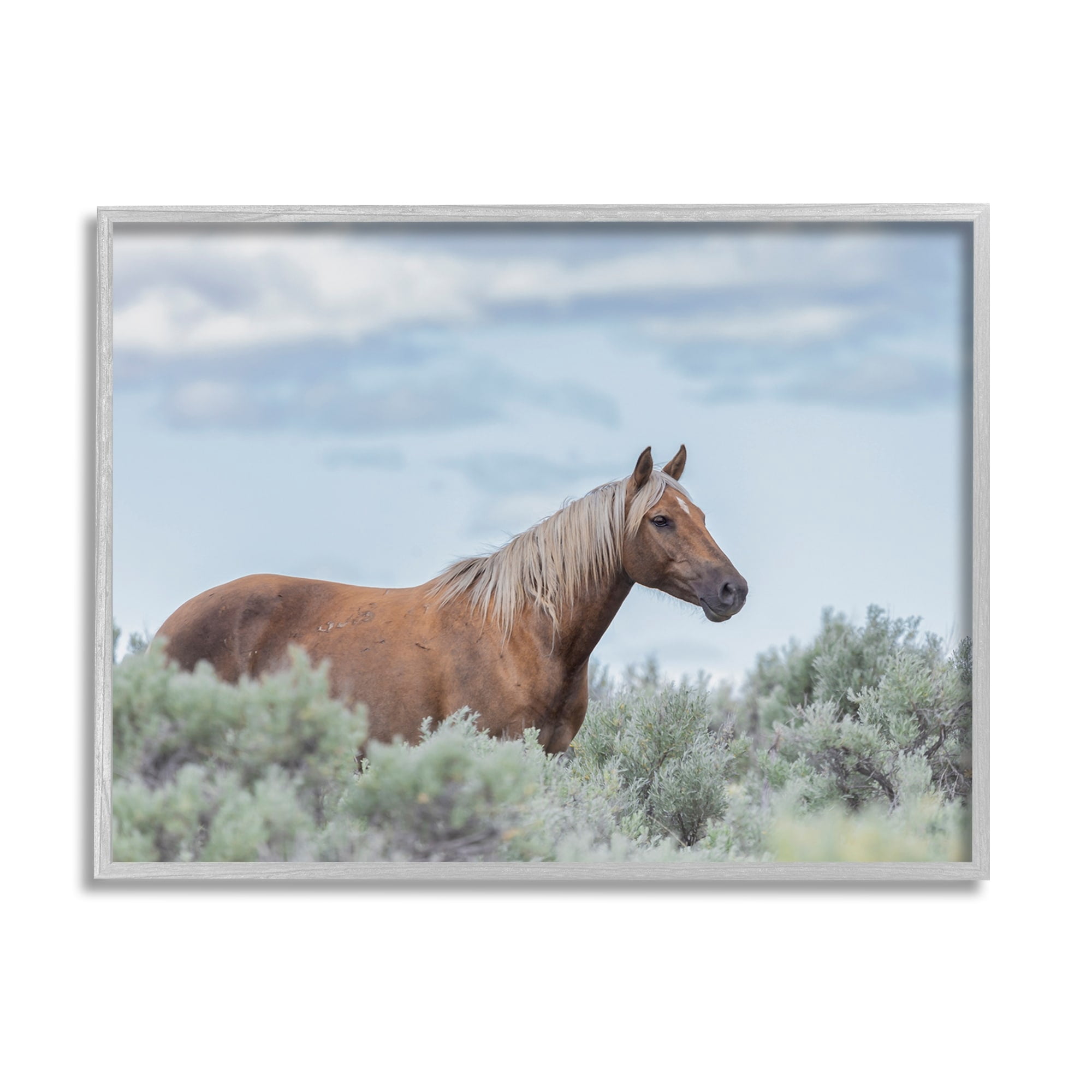 Stupell Industries Stallion Horse Among Bushes Clear Blue Sky Graphic Art Gray Framed Art Print Wall Art, Design by Lauri McFerrin