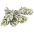 thumbnail image 1 of Artificial Succulent Pick Mini 3PCS Unpotted Faux Pine Cone Plant Office Decor, 1 of 10