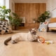 thumbnail image 4 of Juguete interactivo de tela para gatos de 70 cm con provocador, para gatitos y gatos adultos, limpieza dental, juego de mordeduras en interiores y actividad de vinculación, 4 of 7