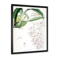 thumbnail image 2 of Designart 'Ancient White Orchid II' Traditional Framed Art Print, 2 of 4